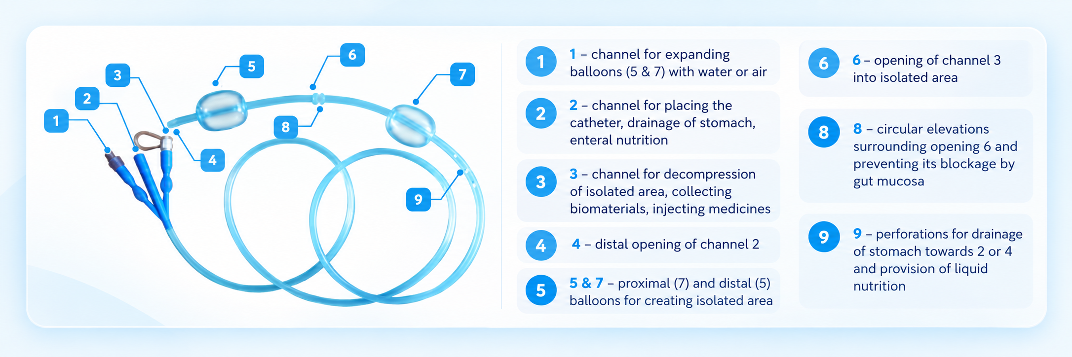 PandiCath catheter scheme